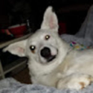 Meet your Posher, Moreno newhart family